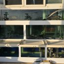 덕원회센타 이미지