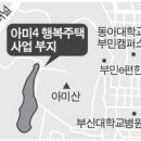 아미오피스
