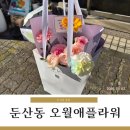 오월애 | 둔산동 꽃집 오월애플라워 꽃다발후기 및 가격