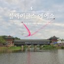 유산 | 블랙이글스에어쇼 경주국가유산야행 후기