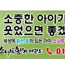 거제소나무향기 태권도장 이미지