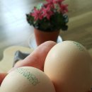 우촌농장 이미지