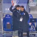 버드코리아 | [2025 코리아컵 2라운드] 수원삼성블루윙즈 vs 서울이랜드 빅버드 500경기 직관 후기(2025.03.19.)