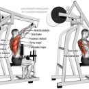 원파인짐 이미지