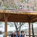 하빈면사무소 이미지