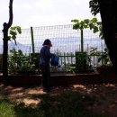 오이도 경로당 이미지