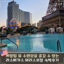 에펠탑 | 라스베가스 패리스호텔 주차장 수영장 에펠탑 리조트피 후기