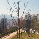 와우산배수지 이미지