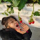 덕바위마을 이미지