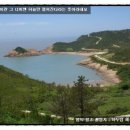 비금