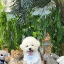 콩이랜드 이미지