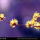 정자천로32번길 이미지