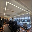 스파르타짐 이미지