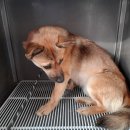 오태동물병원 이미지