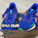코발트블루 | 아식스 슈퍼블라스트 3 코발트 블루 경쾌한 러닝화 내돈내산 후기