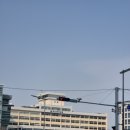 부산세관본부(출입국외국인청) | [부산세관] 2026 제1회 청년인턴 서류/면접 합격 후기 (전형 절차, 여행자통관과 특이사항 등)