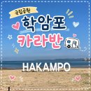 한결카오토밋션 | 태안 카라반 추천, 학암포 오토캠핑장 두 번째 찾은 이유 (시설,예약,가격,준비물 총정리)