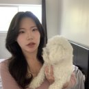 [캐나다 워홀/캘거리] #6. 팁잡 구하기 완! (한인잡 후기, 강아지 동반 카페, 잉글우드 구경, D+18~24)