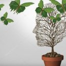 행복한마음한의원 이미지