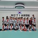 부산TIA태권도 이미지
