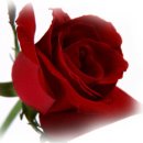 길원여자고등학교 이미지