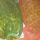 황철미가 이미지