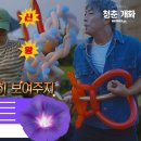 화이라이트