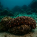 인삼공인중개사사무소 이미지