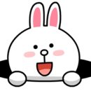 비단펫 이미지