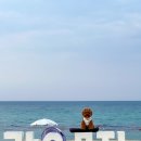 청춘물회 | 강릉 애견동반 식당 세인트존스 강문해변 맛집 청춘돌우럭 물회