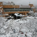 태백어린이집 이미지