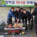 청학골 Daum카페