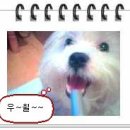 쑤 - 의정부시 민락로 195 | 쑤
