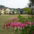 팝콘하우스 이미지