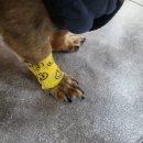 다원 동물병원 이미지