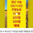 박영태농장 네이버블로그