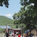 코끼리 관광농원 이미지