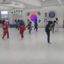 경상대백호태권도장 이미지