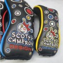 태영세탁소 | 스카티카메론 커버셋트 세탁, 파이핑 흠집 복원 및 염색 전문 시공 사례