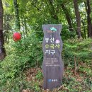 서울 은평구 봉산(편백나무숲) 여행. 이미지