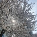 광주 천변길1 이미지