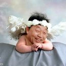 짱 이미지