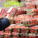 행진마트 이미지