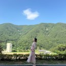 금성파크 | [금성일기]젠더리빌-딸일까 아들일까 행복한 태교여행 중❗️임신중기 13~20주 주수기록