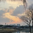 스모크부대찌개 | 대전 중구 목동 <아우내부대찌개> (+내돈내산, 솔직후기)