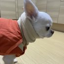 어라운드케이크