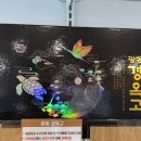 365간석매일약국 이미지