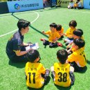 가족과 함께하는 탁구교실 | 가족과 함께하는 안산 축구교실 솔레아스 운동회 후기 2탄💗(with.박한별초롱)