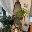 오운제주 이미지