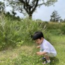 성샘목장 이미지